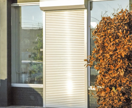 Рольставни на двери в Новоалександровске